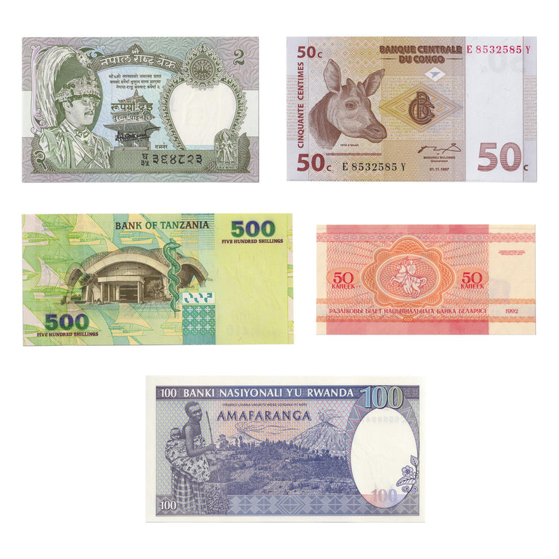 5 Banknote Set | Terrestrial Animals | Squirrel | Leopard | Okapi | Water Buffalo | Zebra