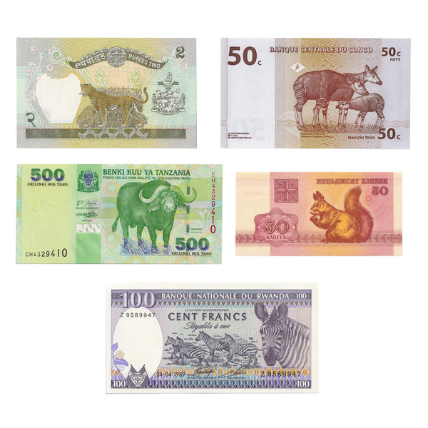 5 Banknote Set | Terrestrial Animals | Squirrel | Leopard | Okapi | Water Buffalo | Zebra