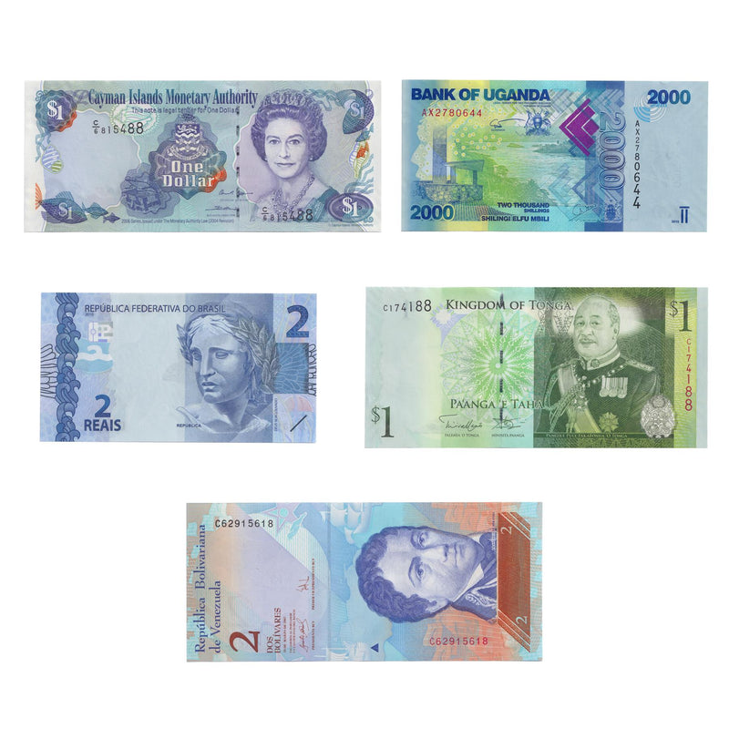 5 Banknotes | Sea Animals | Turtles | Tilapia | Whale | Coral reef fishes | Dolphins