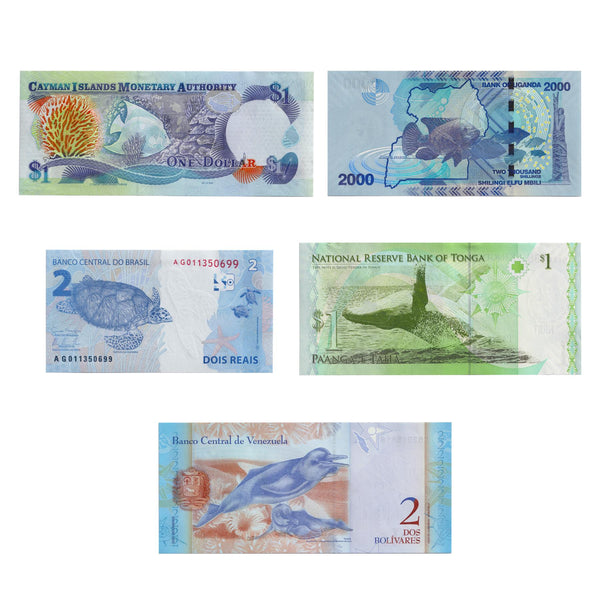 5 Banknotes | Sea Animals | Turtles | Tilapia | Whale | Coral reef fishes | Dolphins