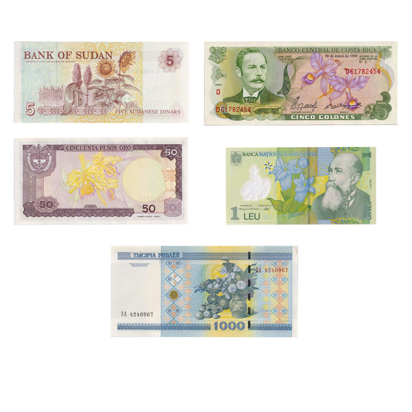 5 Banknotes with Flowers | Sunflowers | Christmas orchids | Fruits and Plants