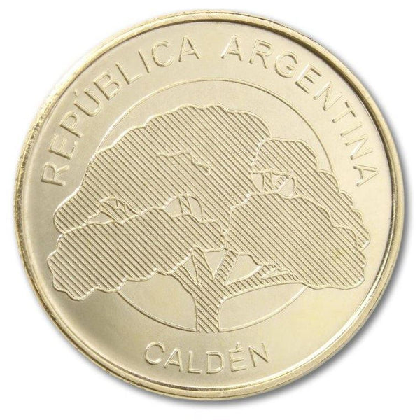 Argentina 10 Pesos Coin | Calden Leaves | En Unión y Libertad | KM189 | 2018 - 2020