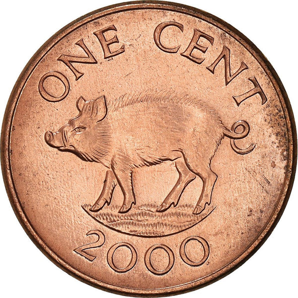 Bermuda | 1 Cent Coin | Queen Elizabeth II | Wild Boar | KM107 | 1999 - 2008