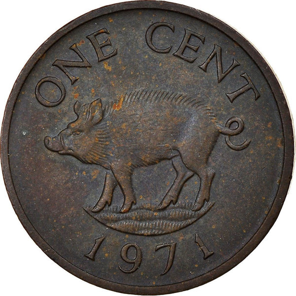 Bermuda | 1 Cent Coin | Queen Elizabeth II | Wild Boar | KM15 | 1970 - 1985
