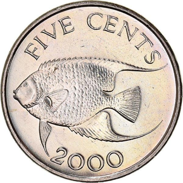 Bermuda | 5 Cents Coin | Queen Elizabeth II | Angelfish | KM108 | 1999 - 2019