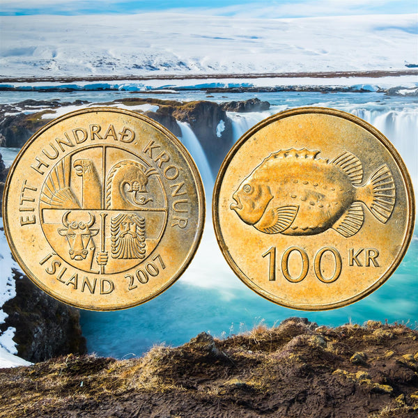 Iceland 100 Kronur Coin | Icelander Lumpfish | KM35 | 1995 - 2011