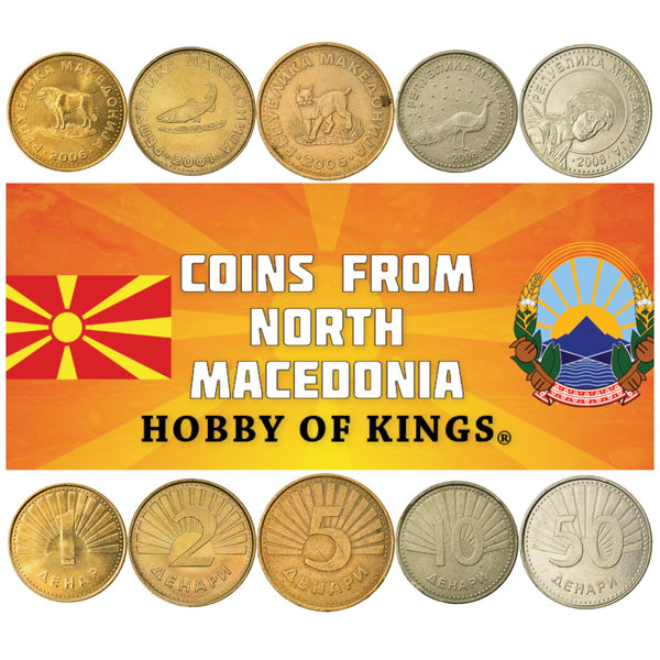 Macedonian 5 Coin Set 1 2 5 10 50 Denari | Balkan Lynx | Peacock | Sarplaninac Dog | Trout | Archangel Gabriel | North Macedonia | 1993 - 2020