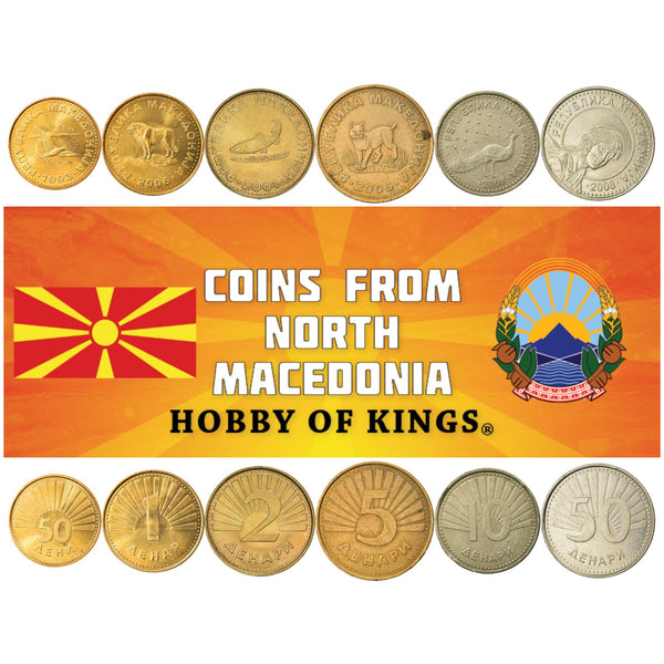Macedonian 6 Coin Set 50 Deni 1 2 5 10 50 Denari | Balkan Lynx | Black-Headed Gull | Peacock | Sarplaninac Dog | Trout | Archangel Gabriel | North Macedonia | 1993 - 2020