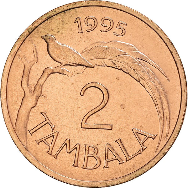 Malawi 2 Tambala Coin | Paradise Whydah Bird | KM34 | 1995