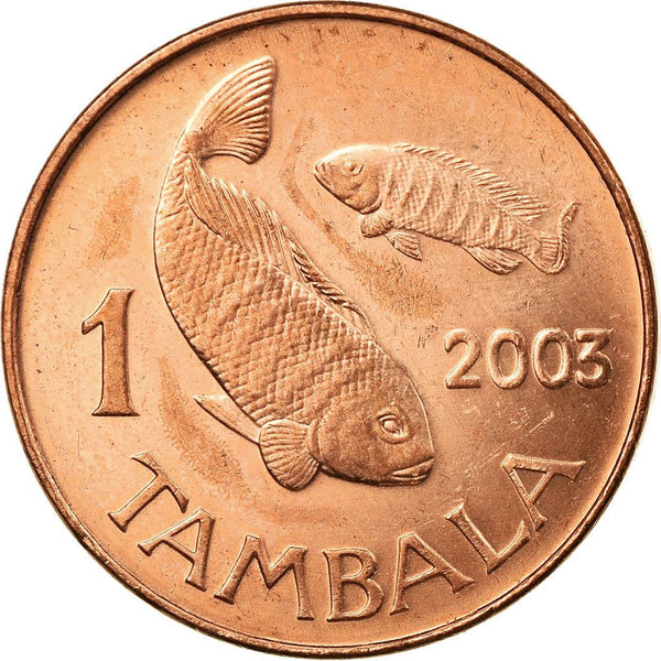 Malawi Coin Malawian 1 Tambala Coin | Talapia Fish | KM33a | 2003