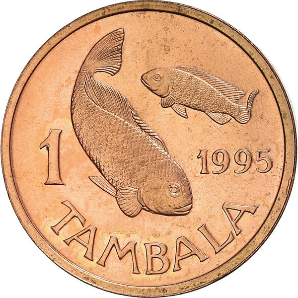 Malawi Coin Malawian 1 Tambala Coin | Tilapia Fish | KM33 | 1995