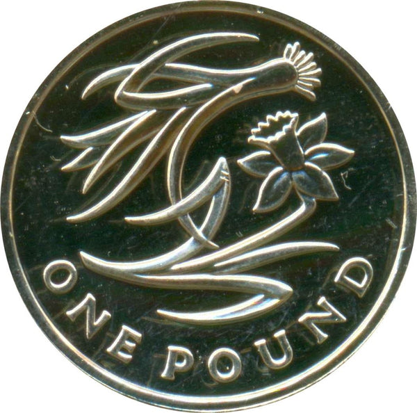 United Kingdom | 1 Pound Coin | Elizabeth II | 4th portrait | Leek & Daffodil | 2013