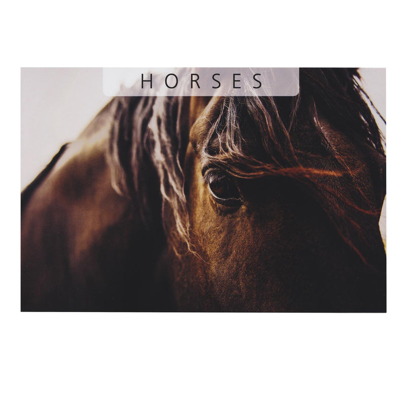World Banknote Set | Horses | Paper Money | Arabian horses | Buzkashi | Akhal - Teke | Takhi | Ismail Samani