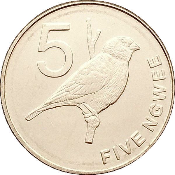 Zambia 5 Ngwee Coin | Zambezi Indigobird | KM205 | 2012 - 2017